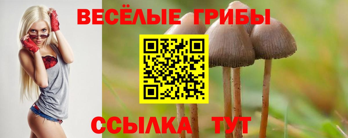 цена наркотик  Псилоцибиновые грибы Psilocybine cubensis  Псилоцибиновые грибы мухоморы  Вход с VPN  Вышний Волочёк 